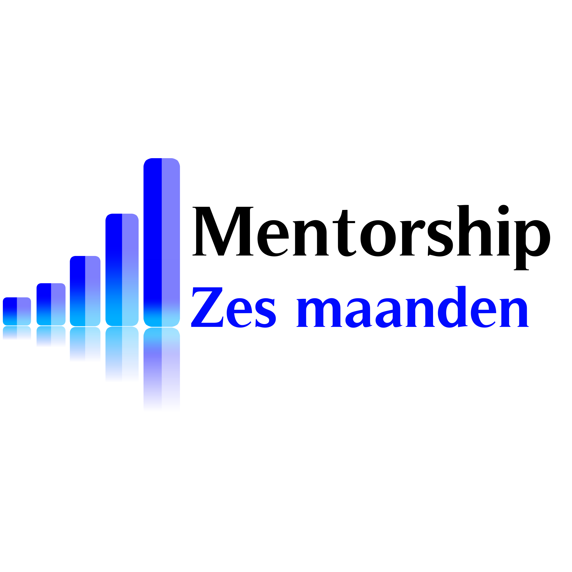 Mentorship programma voor zes maanden