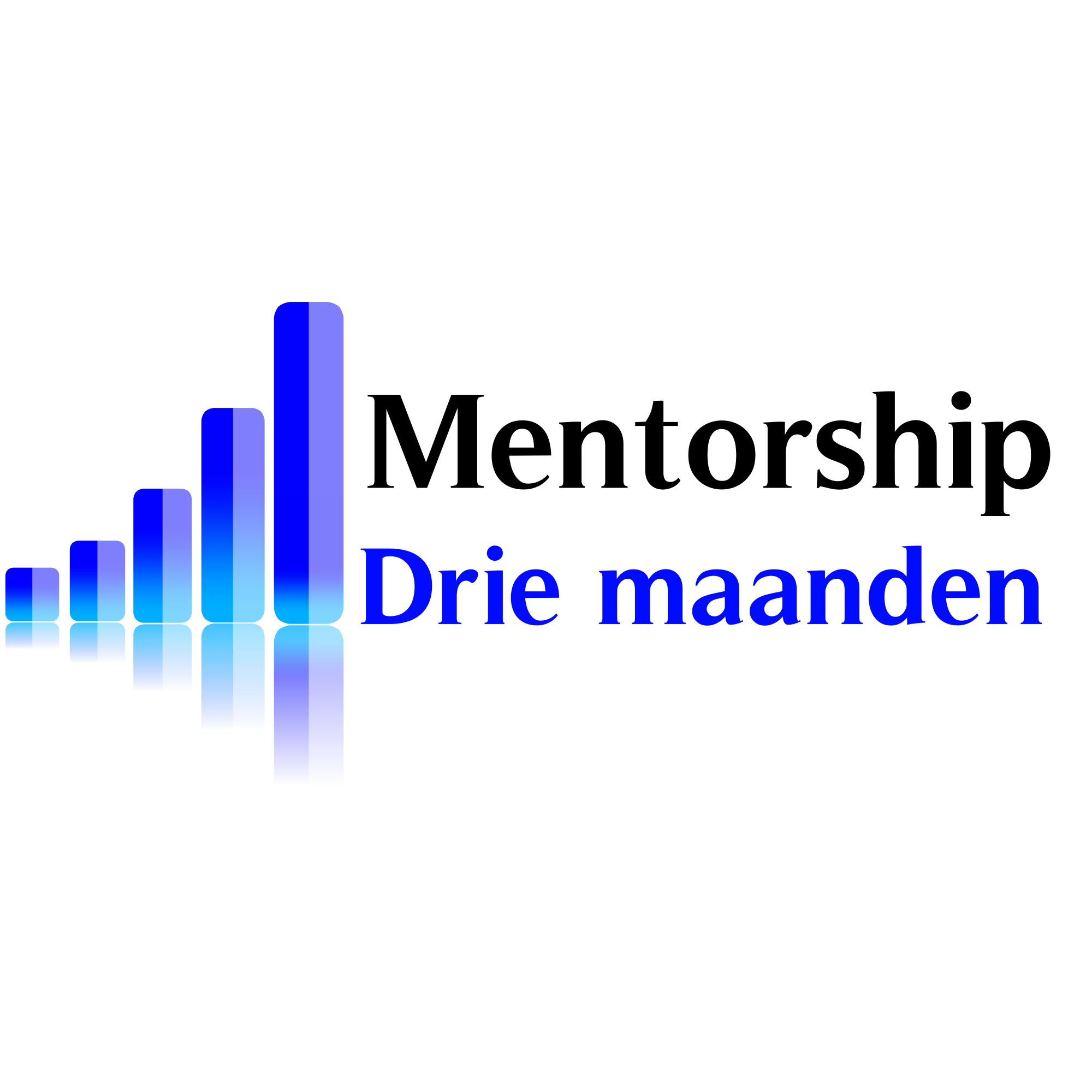 Mentorship programma voor drie maanden